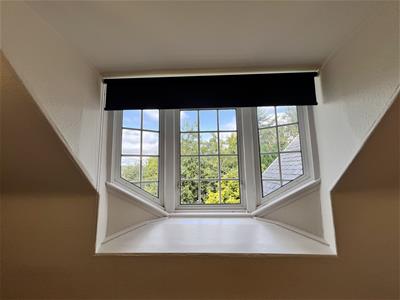 Picture 28